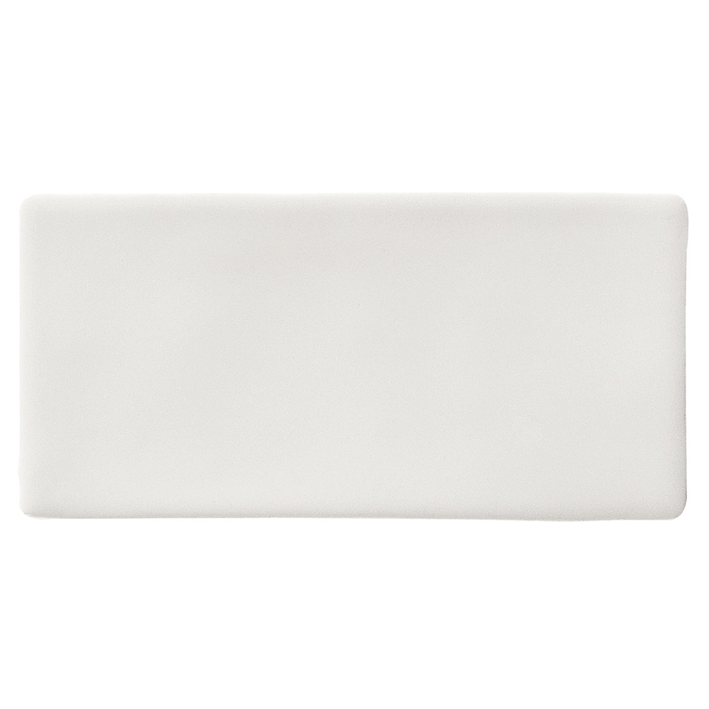 Lush-Ash-Grey-Matt-Subway-Tile.jpg