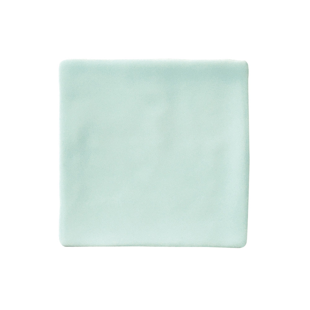 Lush-Mint-Matt-Subway-Tile-100x100-1.jpg