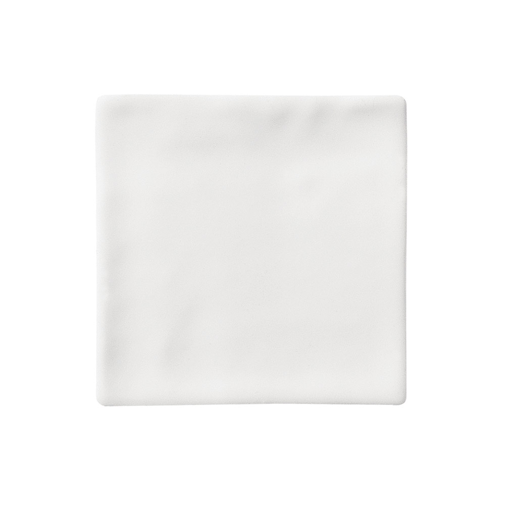 Lush-White-Matt-Subway-Tile-100x100-1.jpg