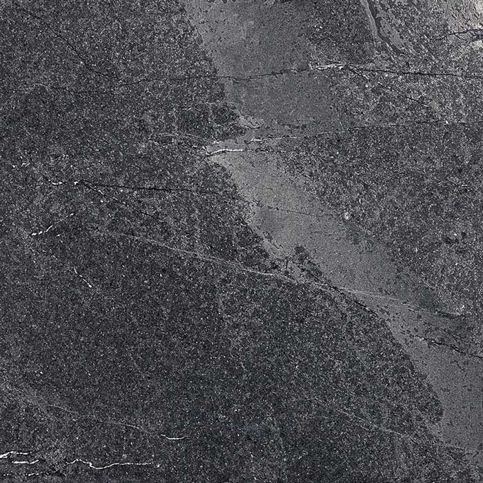 Shell-Stone-Ant.jpg